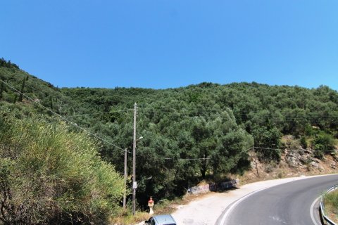 16000m² Land à Corfu, Greece No. 58679 4