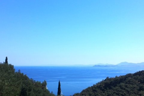 16000m² Land in Corfu, Greece No. 58679 2