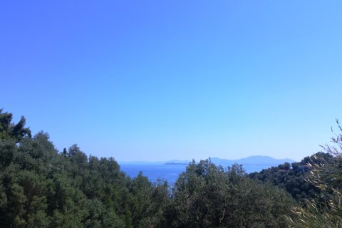 16000m² Land in Corfu, Greece No. 58679 3