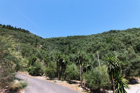 16000m² Land in Corfu, Greece No. 58679 6