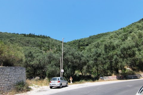 16000m² Land in Corfu, Greece No. 58679 5