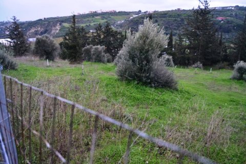 4100m² Land in Heraklion, Greece No. 57730 2