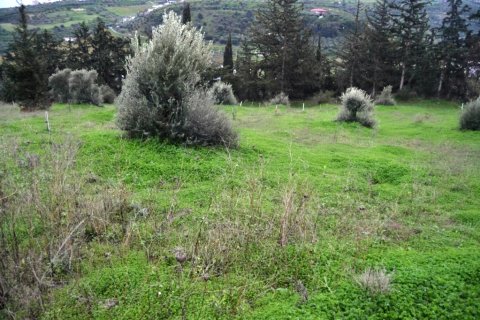 4100m² Land à Heraklion, Greece No. 57730 1