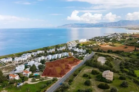 7962m² Land in Neo Chorio, Cyprus No. 43952 1