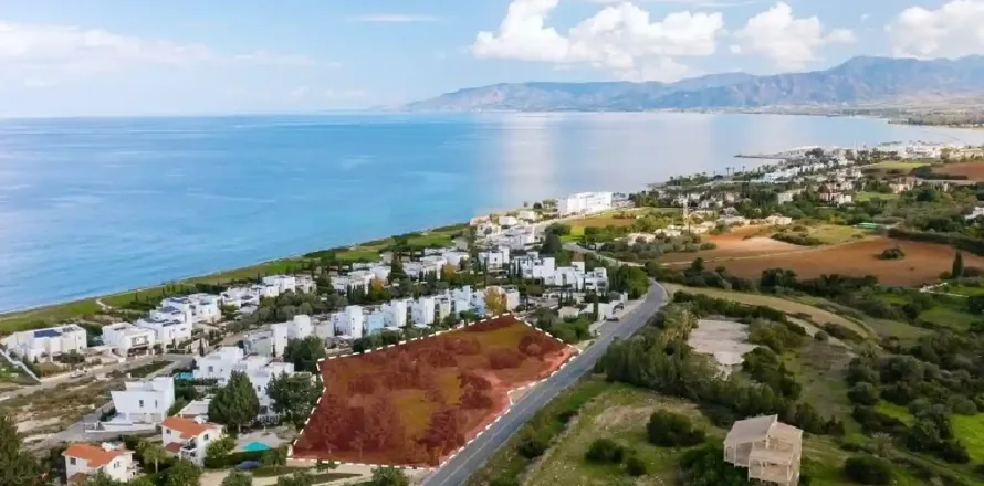 7962m² Land in Neo Chorio, Cyprus No. 43952