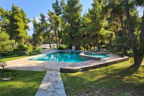 2 bedrooms Villa in Chalkidiki, Greece No. 48621 10