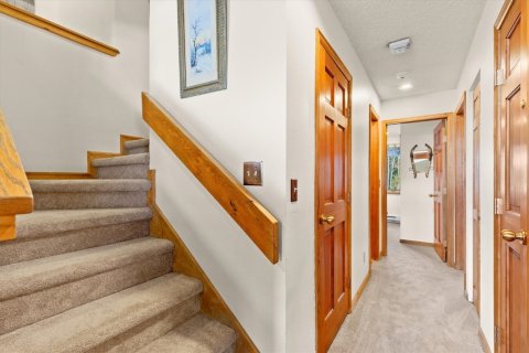 3 bedrooms Condo  in Steamboat Springs, USA No. 75782 19