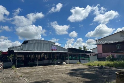 20 chambres Land à Chiang Mai, Thailand No. 2415 3