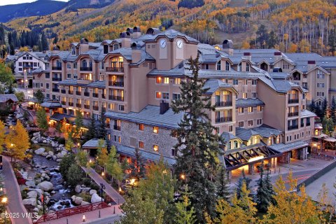 2 bedrooms Condo  in Beaver Creek, USA No. 75606 13