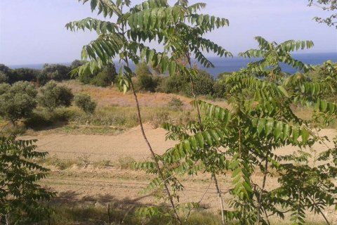 Land in Zakynthos, Greece No. 28103 6