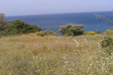 Land in Zakynthos, Greece No. 28103 4