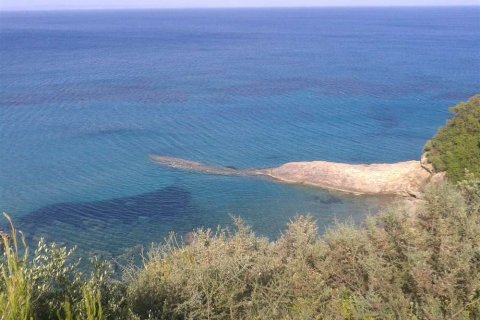 Land in Zakynthos, Greece No. 28103 8