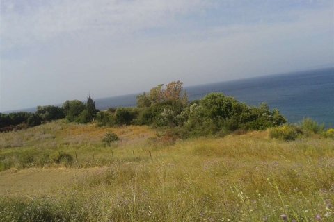 Land in Zakynthos, Greece No. 28103 3