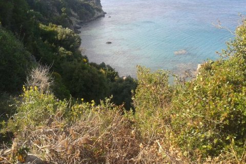 Land in Zakynthos, Greece No. 28103 11