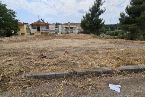 500m² Land en Chalkidiki, Greece No. 55479 3