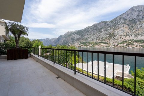 6 bedrooms House in Kotor, Montenegro No. 67030 10