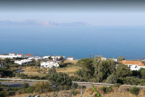 10000m² Land in Laconia, Greece No. 57390 4