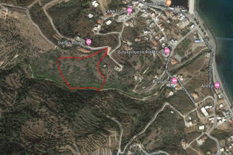 10000m² Land in Laconia, Greece No. 57390 1