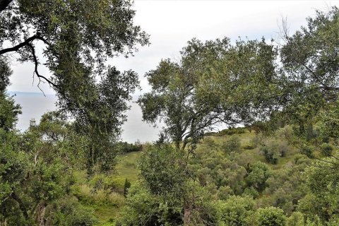 5000m² Land in Corfu, Greece No. 57371 3