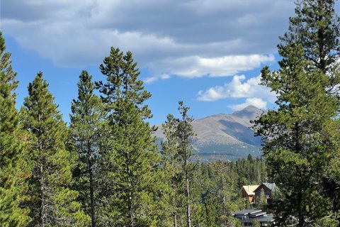 5 chambres House à Breckenridge, USA No. 62379 9