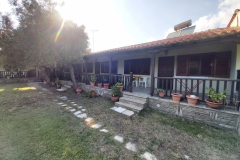 200m² Business in Chalkidiki, Greece No. 56259 1