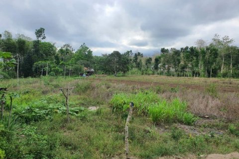 Land in Central Sumba, Indonesia No. 23227 3