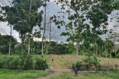 Land à Central Sumba, Indonesia No. 23227 4