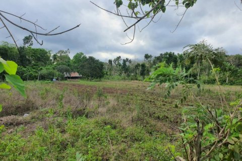 Land à Central Sumba, Indonesia No. 23227 2