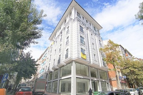 3+1 Apartment in Istanbul, Turkey No. 11638 1