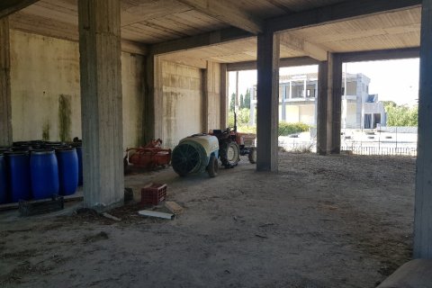 Готовый бизнес 600м² в Халкидики, Греция №56521 4