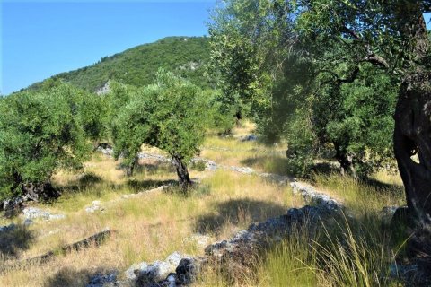 4127m² Land en Corfu, Greece No. 56520 4