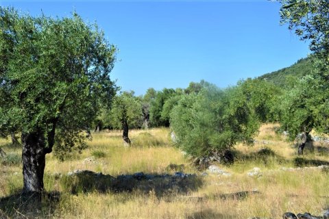 4127m² Land en Corfu, Greece No. 56520 8