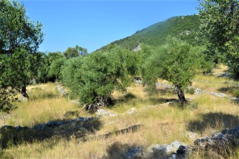 4127m² Land en Corfu, Greece No. 56520 3