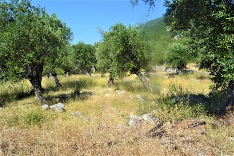 4127m² Land en Corfu, Greece No. 56520 5