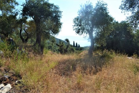 4127m² Land en Corfu, Greece No. 56520 9