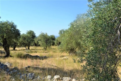 4127m² Land à Corfu, Greece No. 56520 2