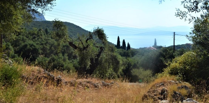 4127m² Land en Corfu, Greece No. 56520