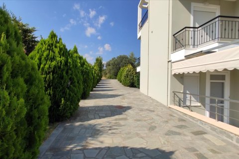 360m² House en Polygyros, Greece No. 56523 5