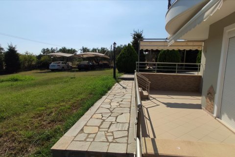 360m² House en Polygyros, Greece No. 56523 16