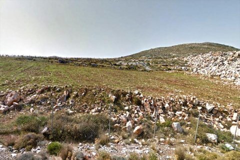 30000m² Land en Malia, Greece No. 59010 4