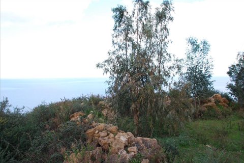 13000m² Land in Zakynthos, Greece No. 59011 7