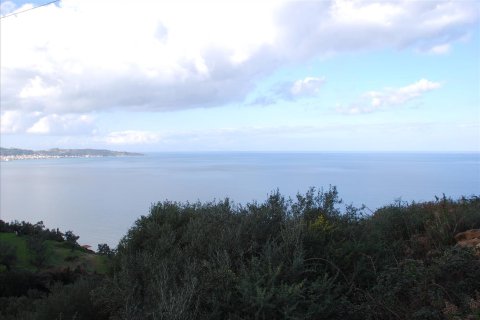 13000m² Land en Zakynthos, Greece No. 59011 6