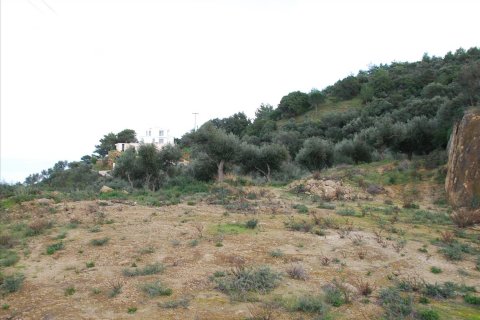 13000m² Land in Zakynthos, Greece No. 59011 2