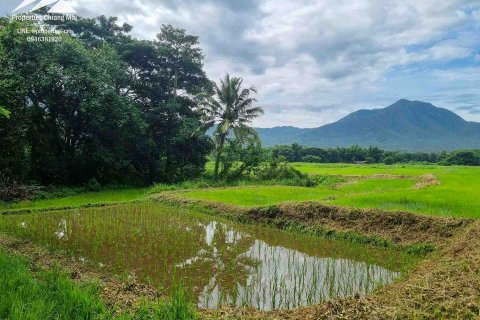 20 dormitorios Land en Chiang Mai, Thailand No. 1318 3