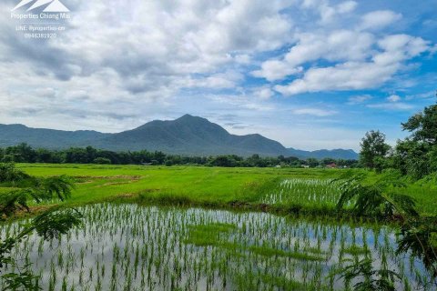 20 dormitorios Land en Chiang Mai, Thailand No. 1318 1