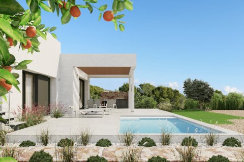 3 bedrooms Villa in Alicante, Spain No. 27773 1