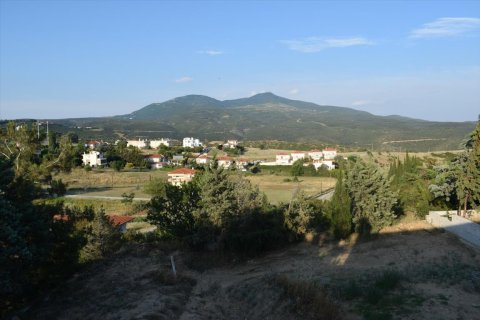 800m² Business in Panorama, Greece No. 57198 11