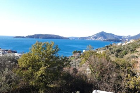 2 bedrooms Apartment in Budva, Montenegro No. 66833 12