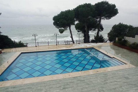 10+2 Villa en Istanbul, Turkey No. 15012 11