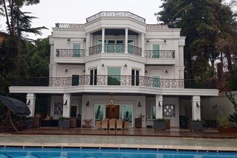 10+2 Villa in Istanbul, Turkey No. 15012 1